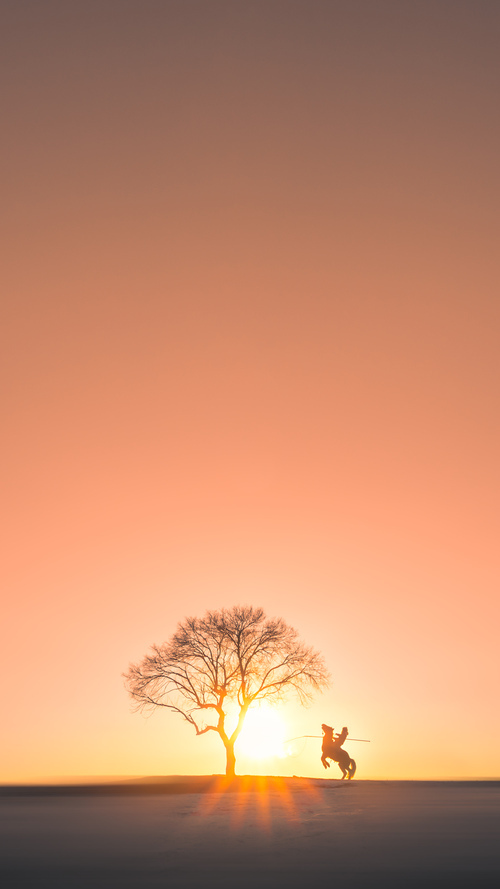 日本攻防转换快如闪电！，日本进攻型武器