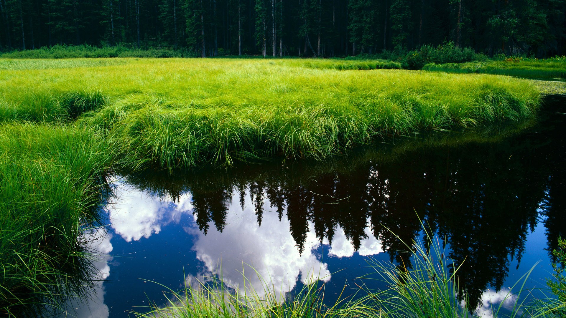 kaiyun体育综合-“高精度追踪系统：开启极限运动表现全场景监控新时代”