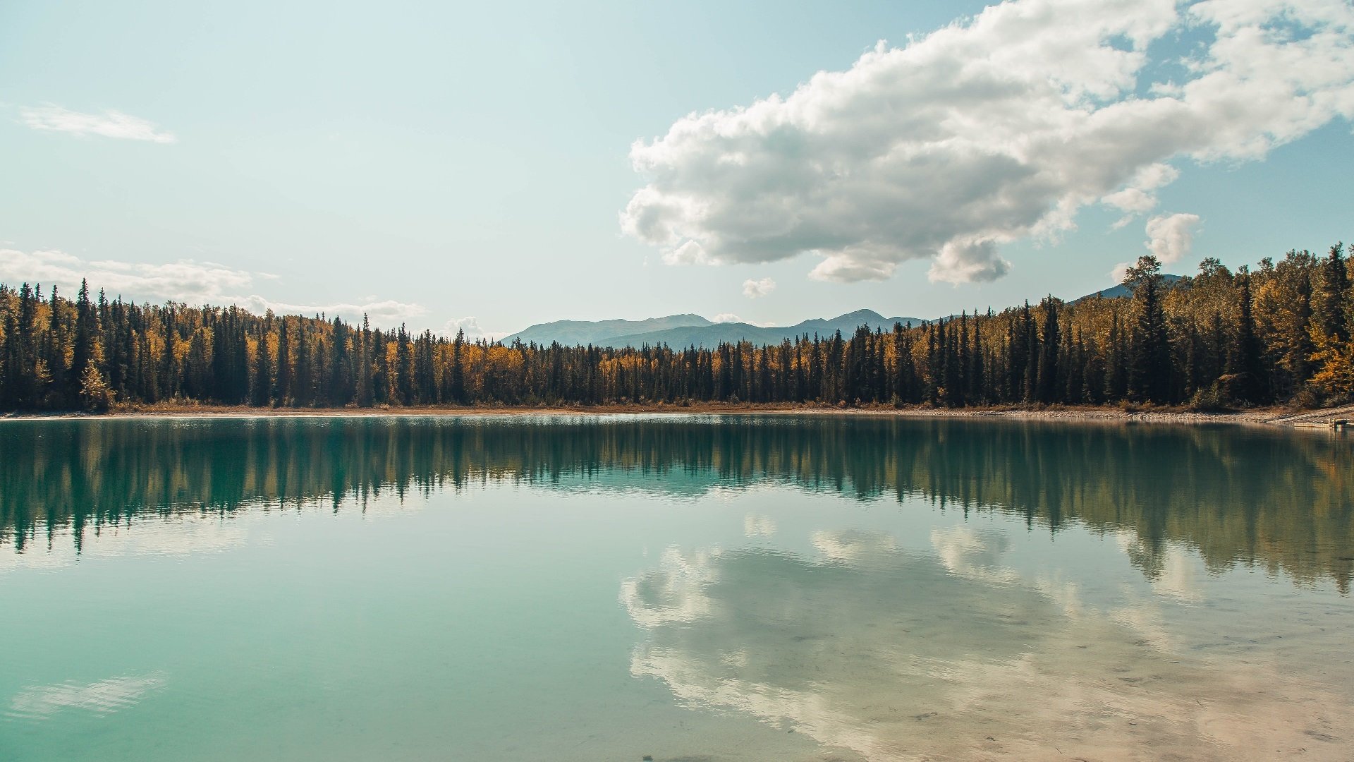 冬奥唯一队伍用奶酪做能量补给：瑞士，瑞士奶酪原则